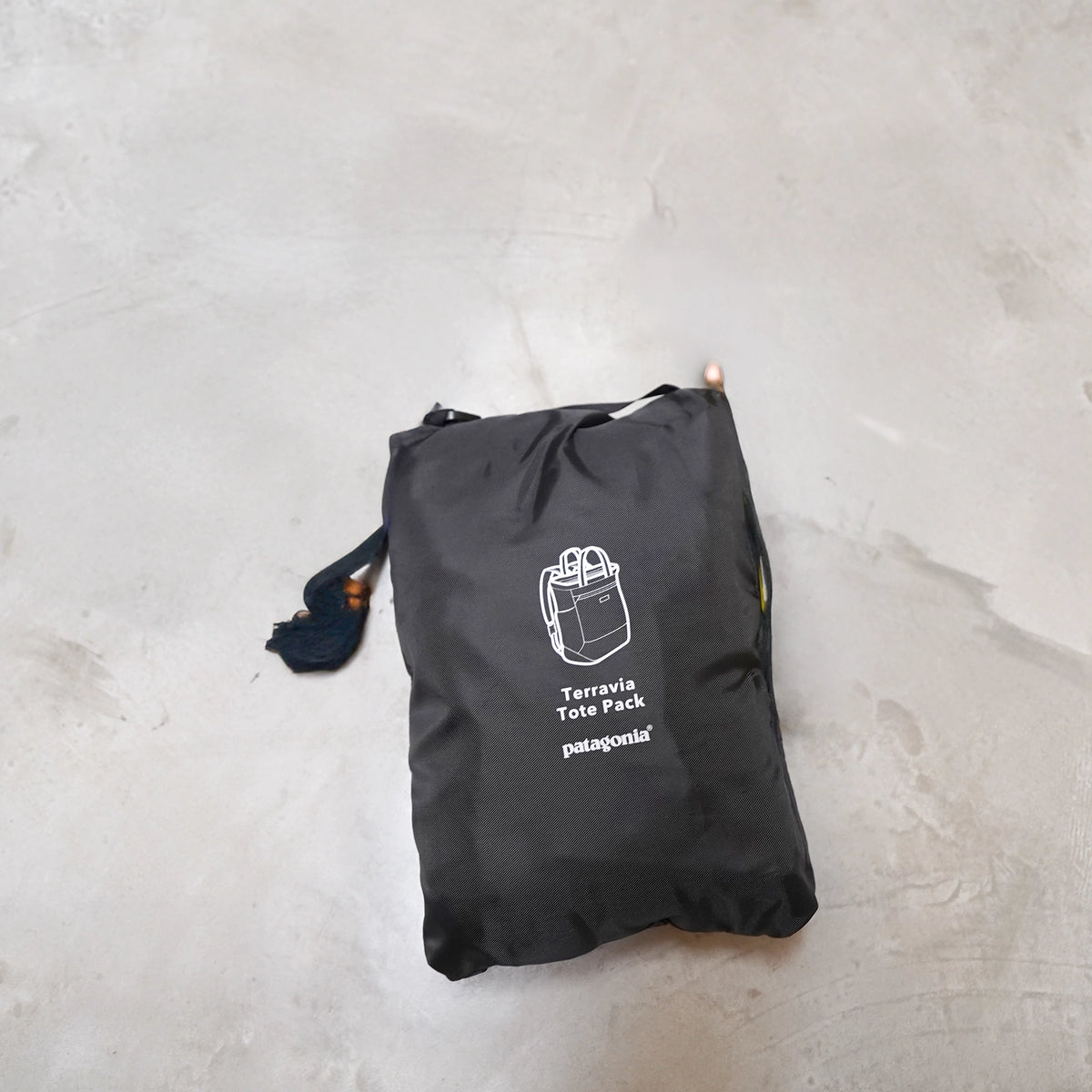 【patagonia】 パタゴニア Terravia tote Pack ”2Color”