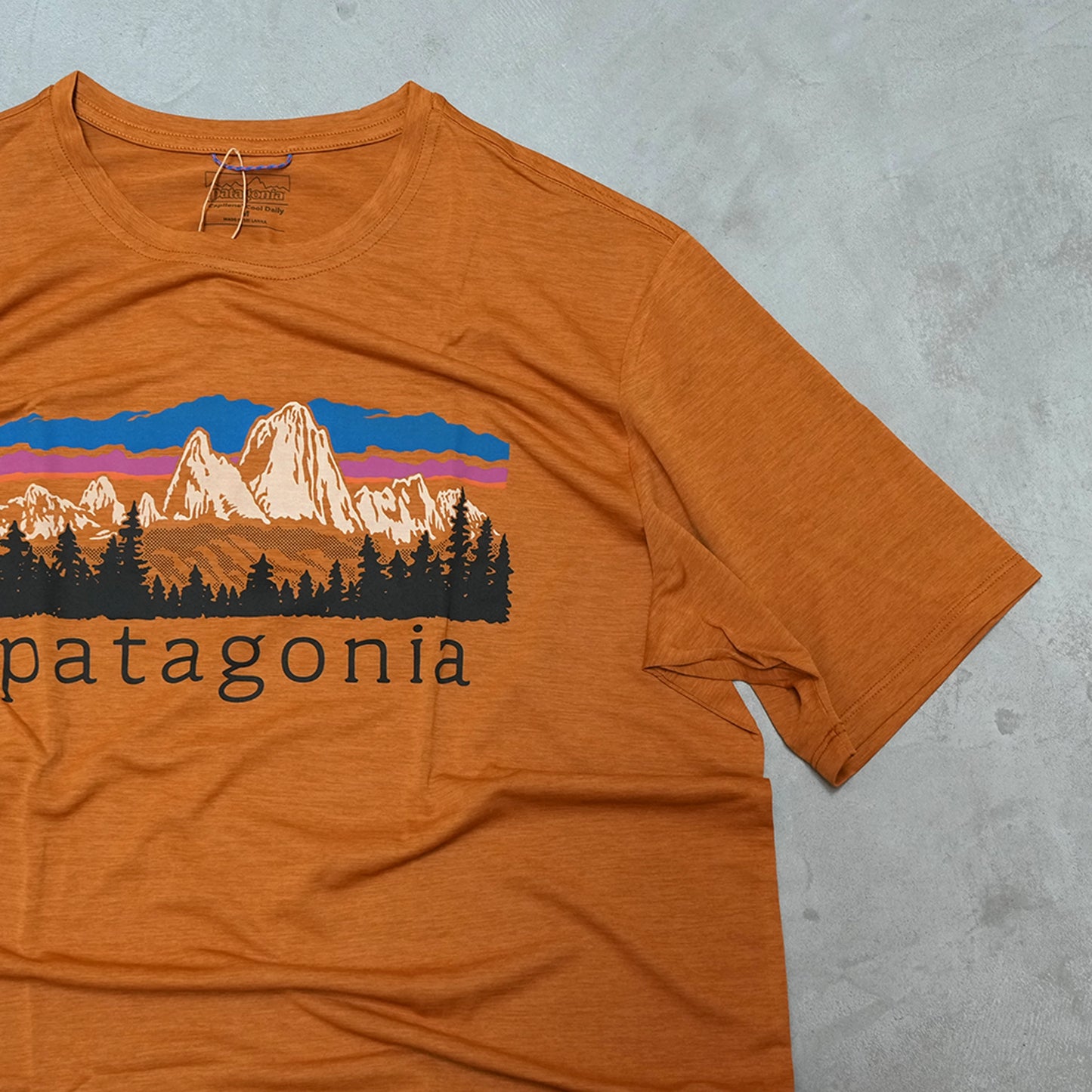 【patagonia】パタゴニア men's Capilene Cool Daily Shirt (Fitzroy Foothills) "CINX" ※ネコポス可