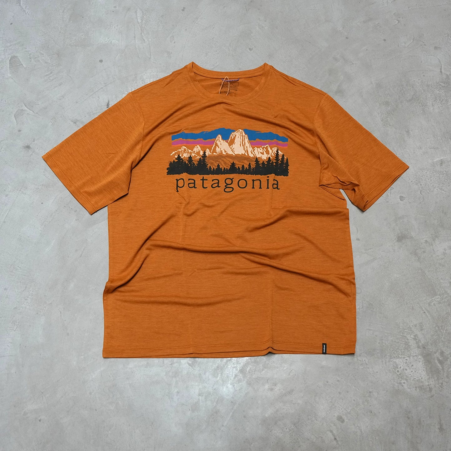 【patagonia】パタゴニア men's Capilene Cool Daily Shirt (Fitzroy Foothills) "CINX" ※ネコポス可