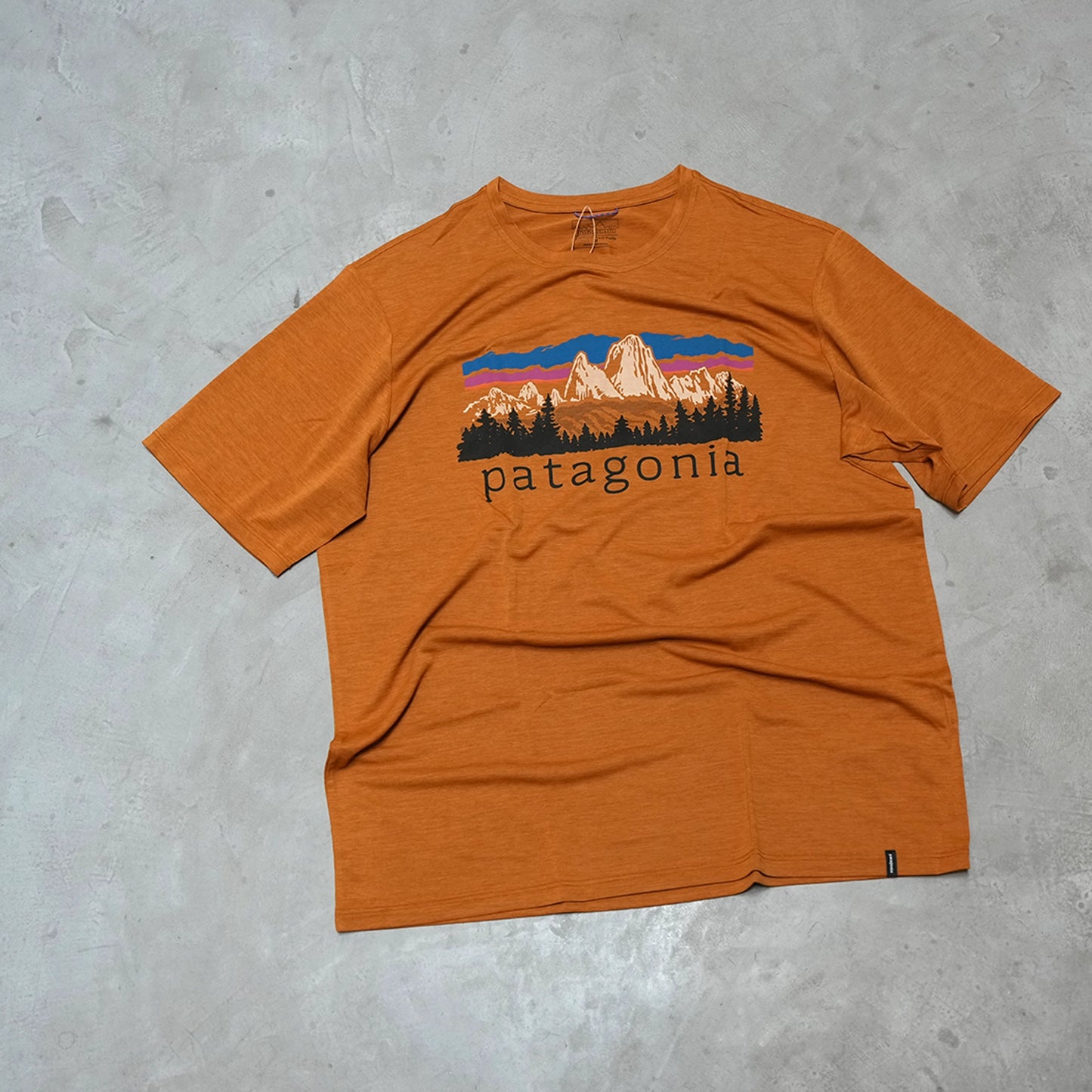 【patagonia】パタゴニア men's Capilene Cool Daily Shirt (Fitzroy Foothills) "CINX" ※ネコポス可